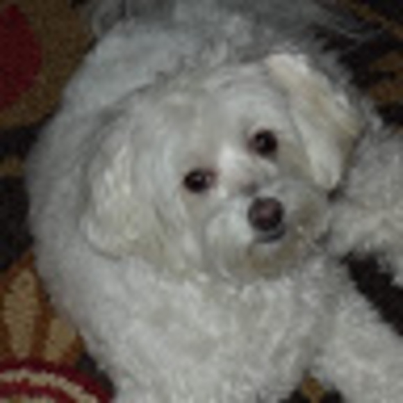 Meet your Posher, Sdp - Picture 1 of 1